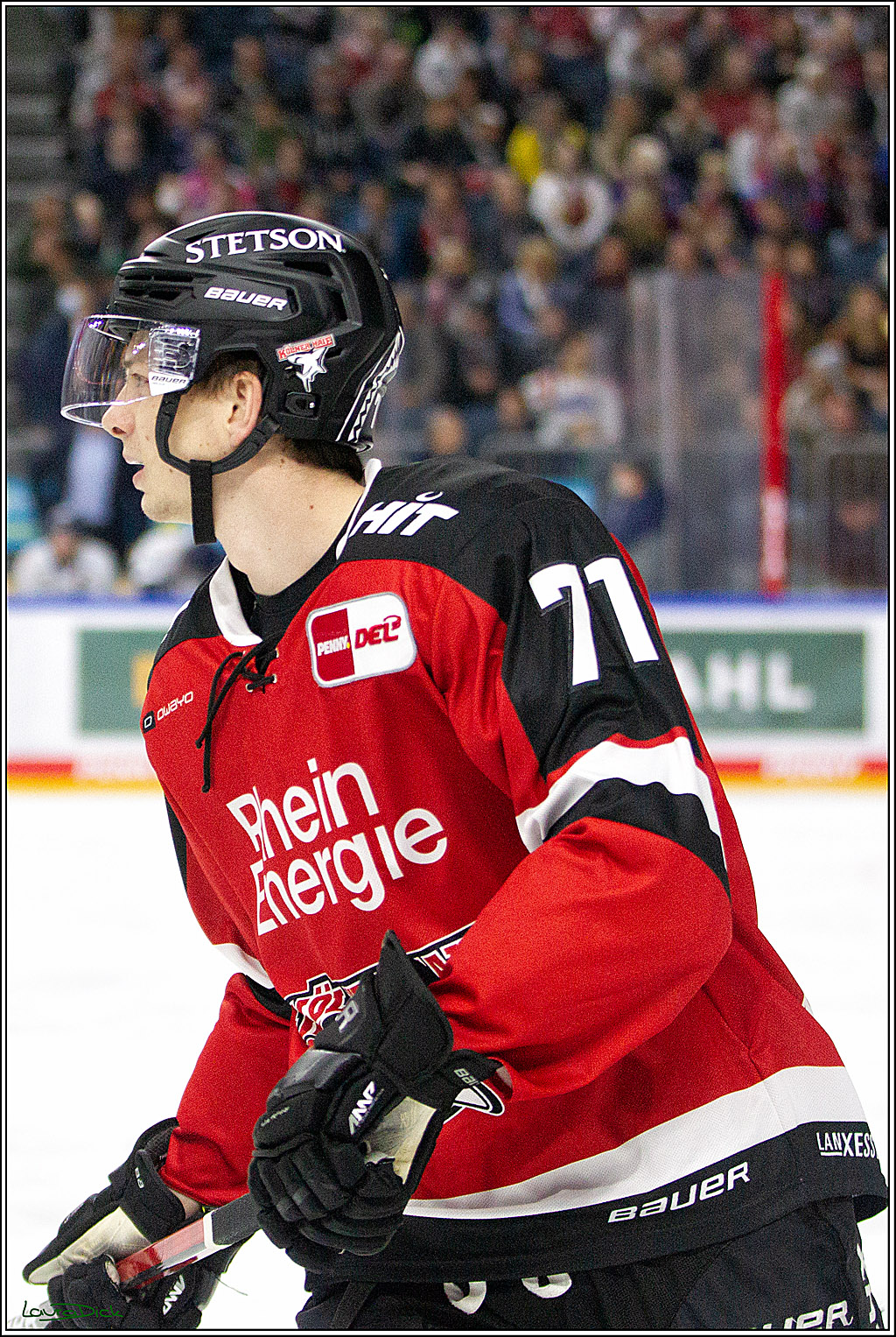 PENNY DEL;  Koelner Haie - Straubing Tigers; Koeln, 15.10.2021